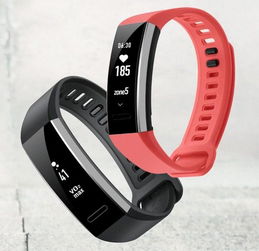 華為發(fā)布Band 2與Band 2 Pro智能手環(huán) VO2 max與TruSleep自動(dòng)睡眠跟蹤引領(lǐng)健康監(jiān)測(cè)新體驗(yàn)